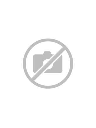 Découverte à vélo électrique ou en golfette du Domaine Château Malherbe