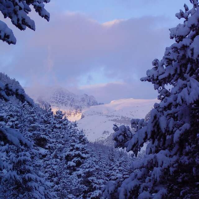 Snowshoeing, Jessica Viale