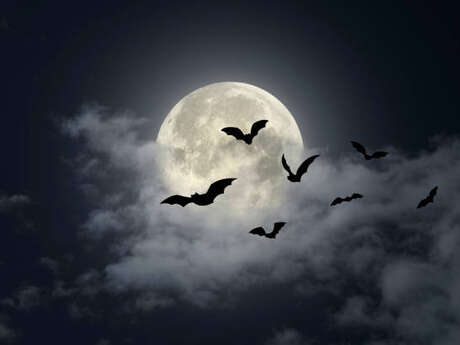 Parcours Halloween Parcours Halloween