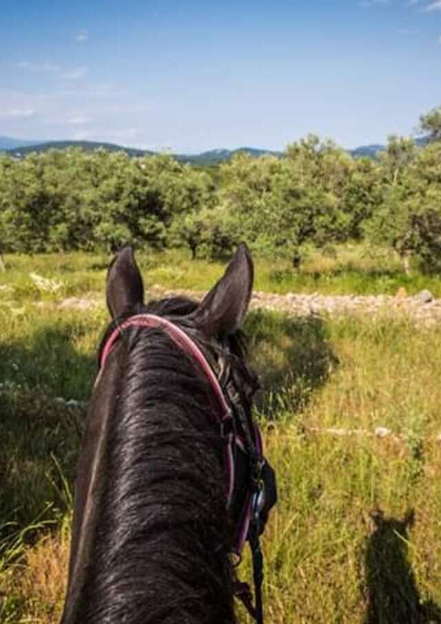 Haras des Villards: ‘Sea and mountain views’ half-day walk