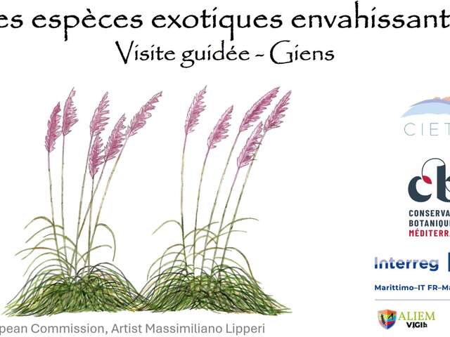 Balade nature Giens : les trésors du Var menacés