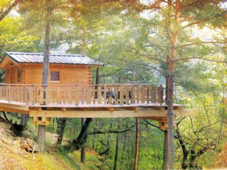 Sleep higher: Houses in the trees