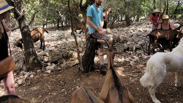 Visites de la passion - berger de BIQUETTES