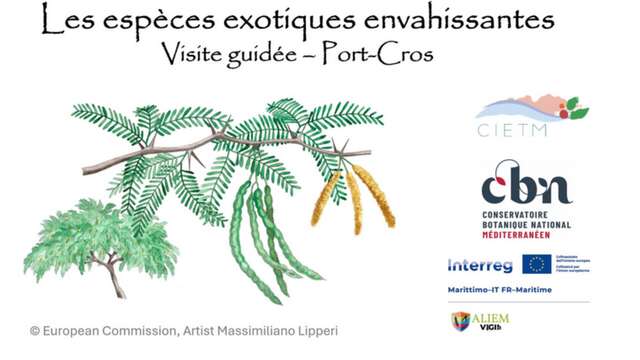 Nature walk Port-Cros: Var treasures under threat
