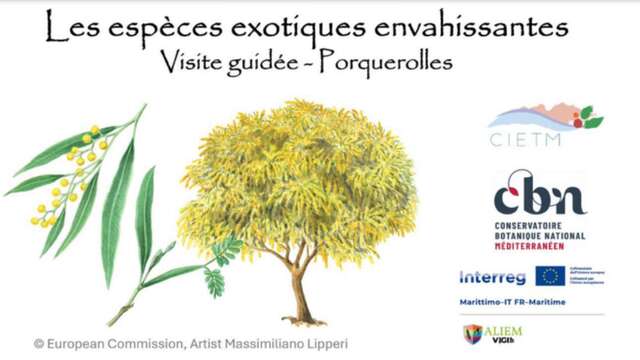 Nature walk on Porquerolles island - Var treasures at risk