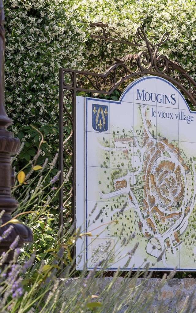 Guided tour "Mougins Village and Picasso"