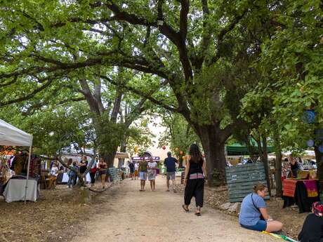 Dessine-moi une tomate