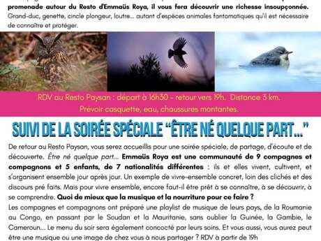 Discovering wildlife with Rémy Masséglia