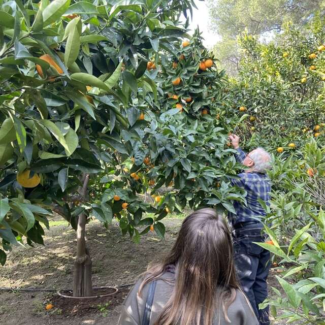 Excursion to Domaine des 4 Vents