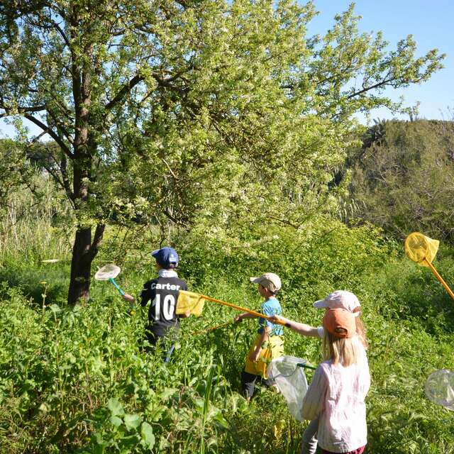The short course in the bush (special children's guided tour)
