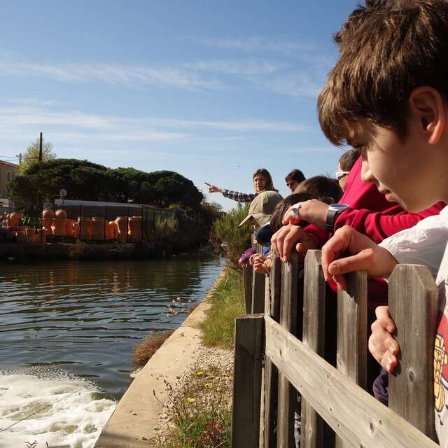 Salt marches history (guided tour for children)