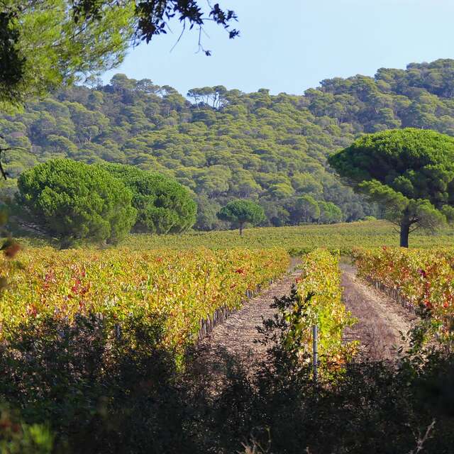 Point rencontre : Les multiples connexions du vivant (Porquerolles)