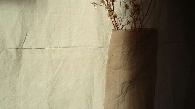 Exposition d’Eve Pietruschi « Un geste vers le bas »