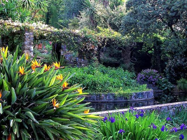 Garden clos du peyronnet - Visit menton