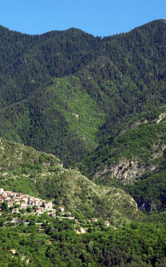 COMMUNE DE LA BOLLENE-VESUBIE UNE VUE GENERALE DU VILLAGE